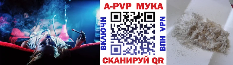 A PVP СК  Динская 
