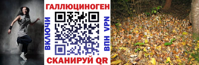 Галлюциногенные грибы мицелий Динская
