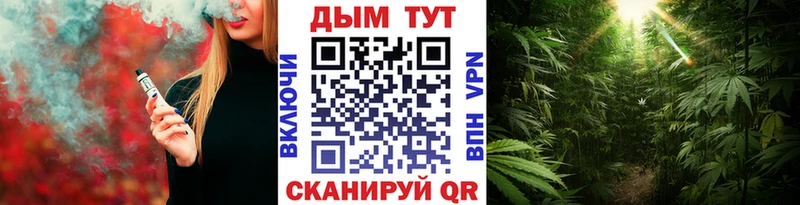Канабис Ganja Динская